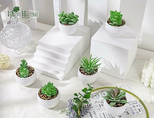 Artificial succulent plants in white pots on display stands.