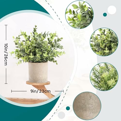 Decorative potted plant with green leaves and size details.