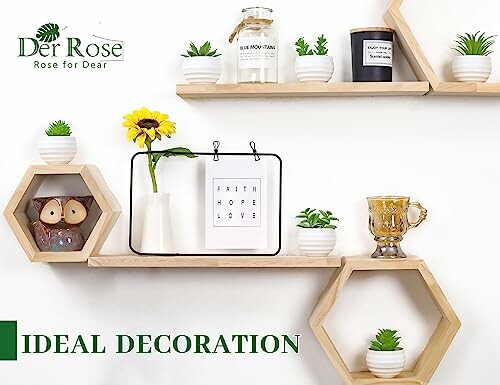 Hexagonal wooden shelves with small plants, a framed sign, and decorative items