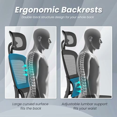 Illustration of ergonomic chair backrests with lumbar support.