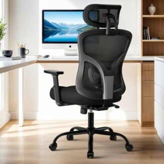 HUANUO Ergonomic Office Chair
