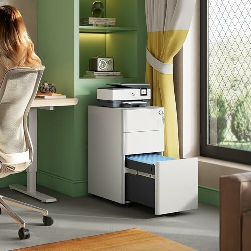 Office area with a printer on a filing cabinet and a person at a desk.
