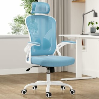 Farini Ergonomic Office Chair
