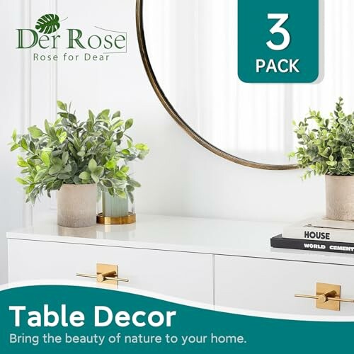 Table decor featuring potted plants and a round mirror.